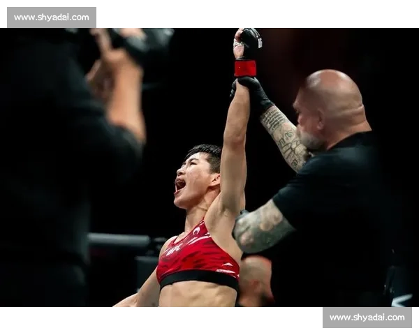 UFC 比赛规则入门：犯规行为与获胜方式